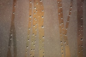 Condensation on Windows Means Too Much Moisture in Your TX Home