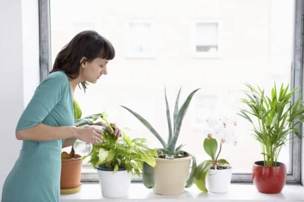 3 Natural Ways to Improve Indoor Air Quality in Your Texas Home