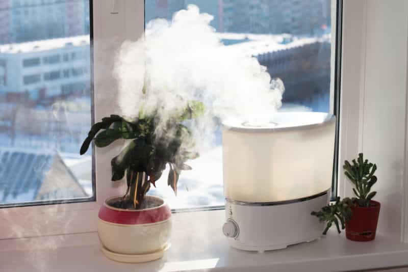 4 Reasons to Use a Humidifier This Winter